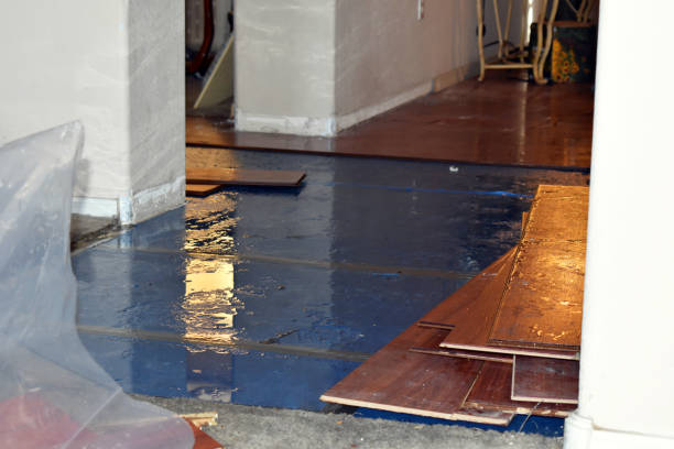 Professional Sewage Cleanup technician working in Franklin, ME